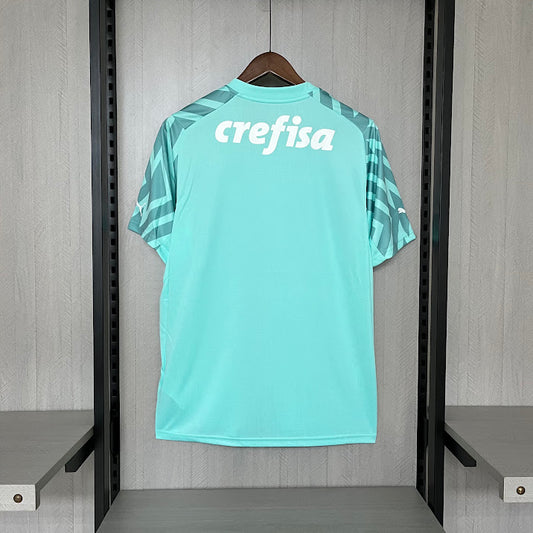 Palmeiras 2024 Goleiro ciano