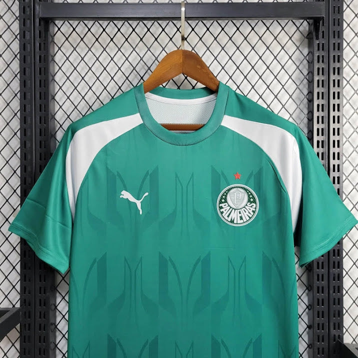 Palmeiras 2024 Treino verde