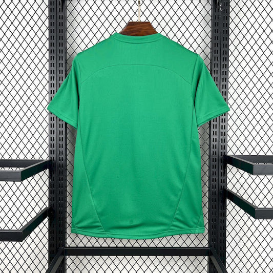 Palmeiras 2025 Goleiro verde