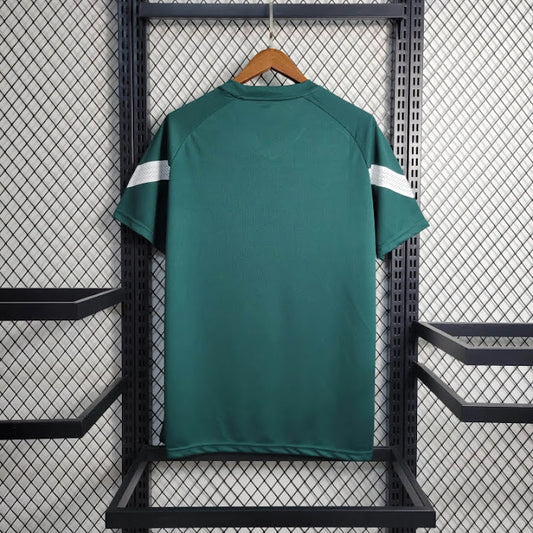 Palmeiras 2023 Treino verde escura