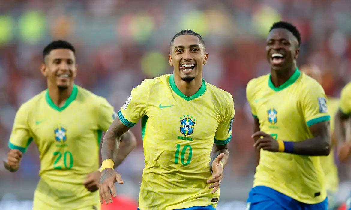 Camiseta Seleções