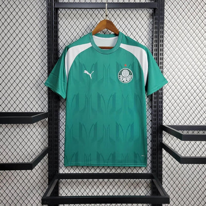 Palmeiras 2024 Treino verde