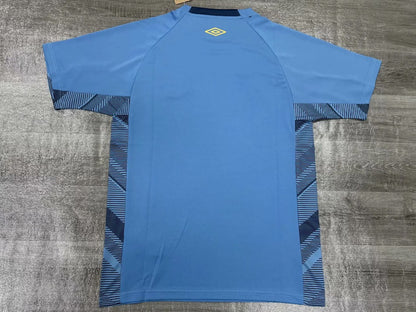 Grêmio 2025 Treino azul celeste