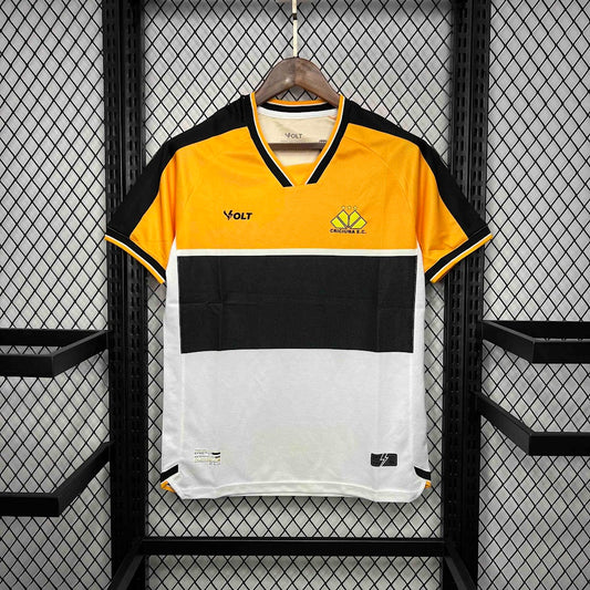 Criciúma 2024 Home
