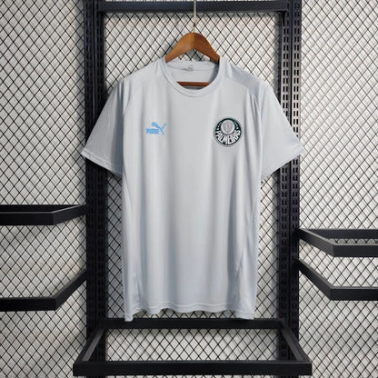 Palmeiras 2023 Treino cinza