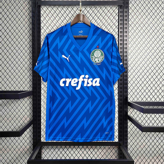 Palmeiras 2024 Goleiro azul