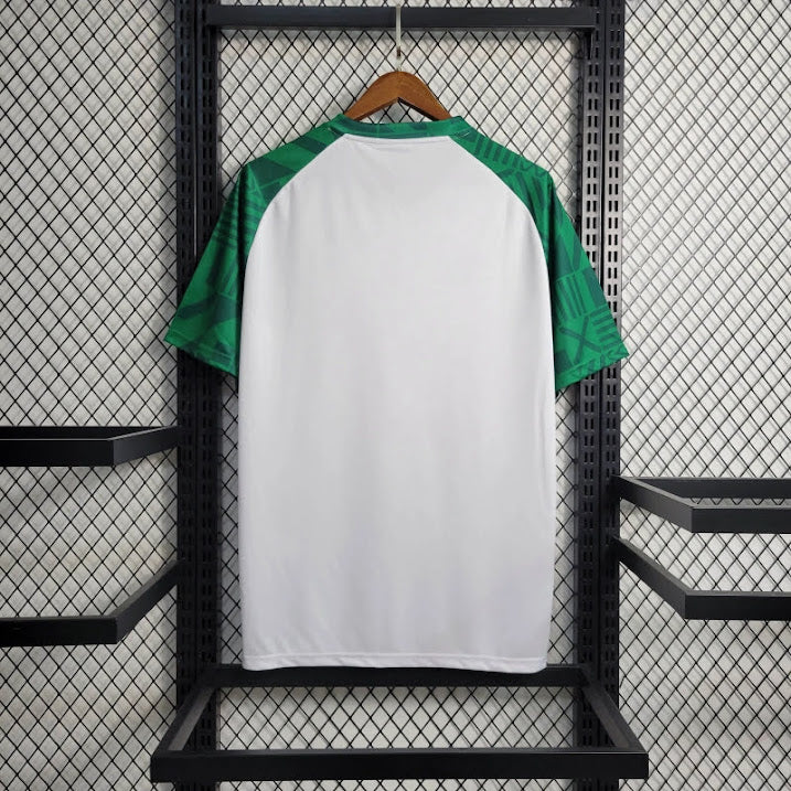 Palmeiras 2023 Treino branca com mangas verdes
