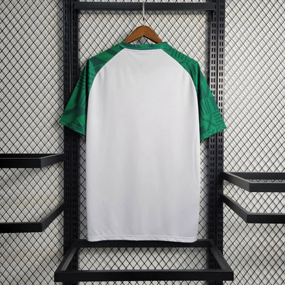 Palmeiras 2023 Treino branca com mangas verdes