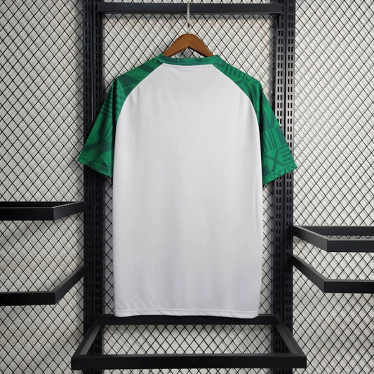 Palmeiras 2023 Treino branca com mangas verdes