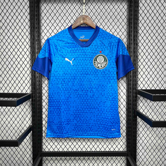 Palmeiras 2024 Treino azul
