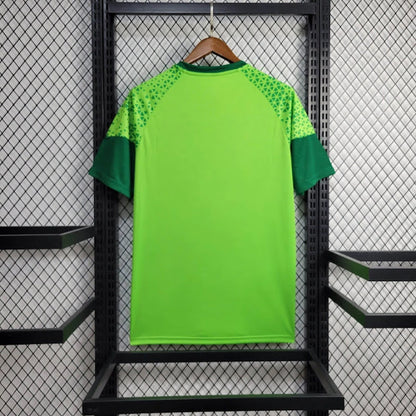 Palmeiras 2024 Treino verde limão
