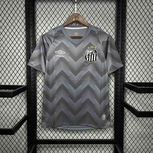Santos 2024 Treino