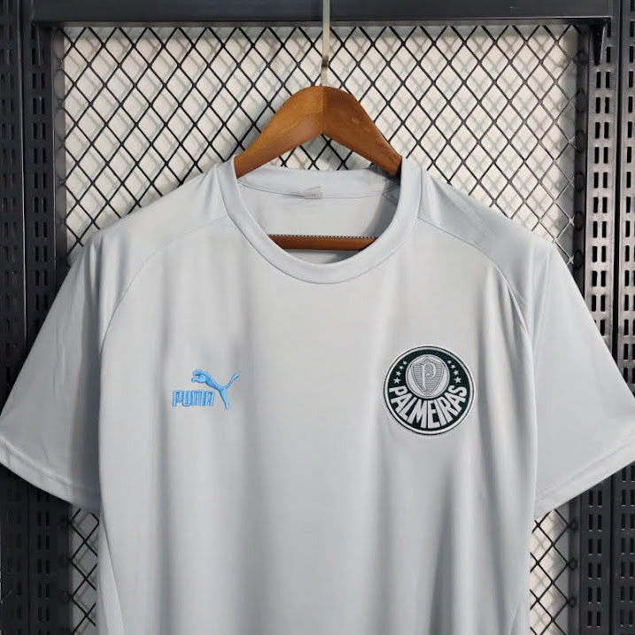 Palmeiras 2023 Treino cinza