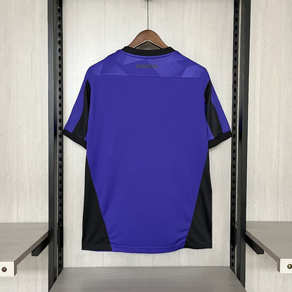 Botafogo 2024 Goleiro roxa
