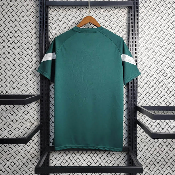 Palmeiras 2023 Treino verde escura