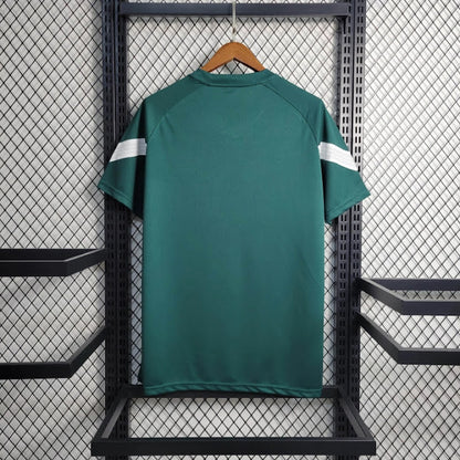 Palmeiras 2023 Treino verde escura